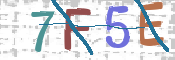 Kontrolní text