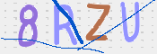 Kontrolní text