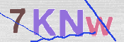 Kontrolní text