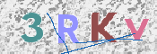 Kontrolní text