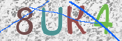 Kontrolní text