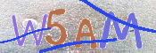 Kontrolní text
