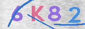Kontrolní text