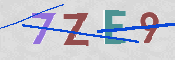 Kontrolní text
