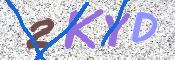Kontrolní text