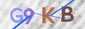 Kontrolní text